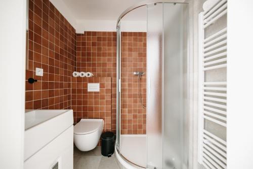 a bathroom with a shower and a toilet at Bytovka1962 in Manětín