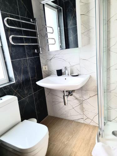 a bathroom with a sink and a toilet and a mirror at GMM Namai in Palanga