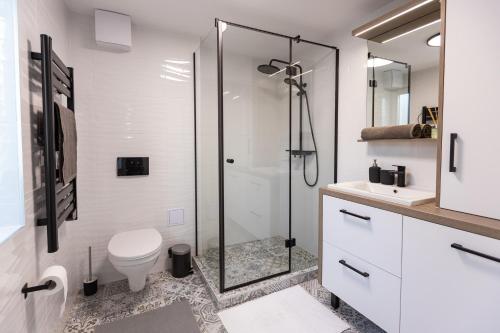 a bathroom with a shower and a toilet and a sink at Pelso Lodge Alsóörs in Alsóörs
