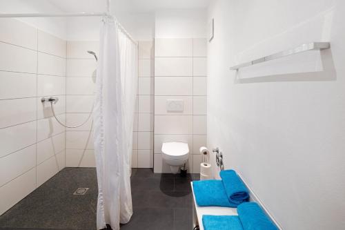 a white bathroom with a toilet and a shower at Leben am Weinberg in Herbstein