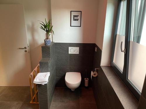 a bathroom with a white toilet in a room at Fewo Matzing - beim Gartner in Matzing