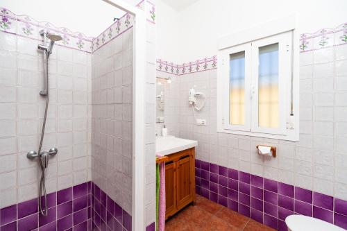 a bathroom with purple and white tiles and a shower at Luisa 3 in Conil de la Frontera