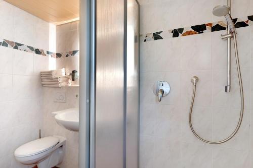 a bathroom with a shower with a toilet and a sink at Danielenhof in Freiamt
