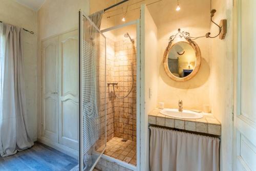 a bathroom with a shower and a sink and a mirror at La Rivière in Velleron