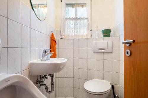 a small bathroom with a sink and a toilet at Schornhof in Oberwolfach