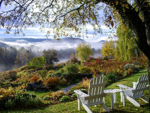 two white chairs sitting in a garden with a foggy view at Windham Hill Inn in West Townshend
