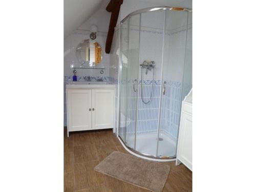 a bathroom with a shower and a sink at Auszeit Landleben in Sallgast