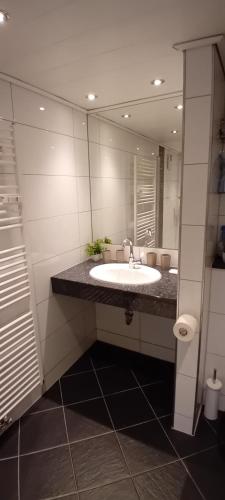 a bathroom with a sink and a large mirror at Fewo Nied in Rehlingen-Siersburg