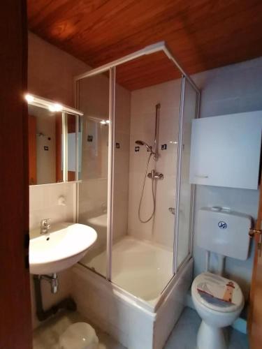 a bathroom with a shower and a toilet and a sink at Haus Am Waldrand in Freital