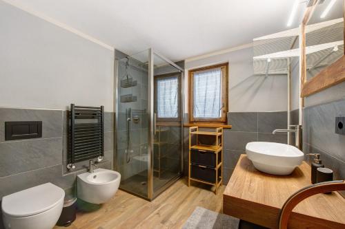 a bathroom with a toilet and a sink and a shower at Maison Olga in Valtournenche