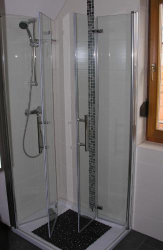 a shower in a bathroom with a glass shower stall at Ferienwohnung Auenweg in Radebeul