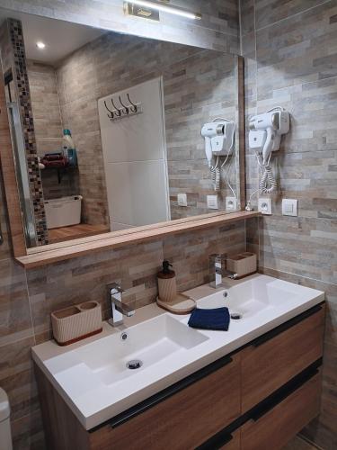 a bathroom with a white sink and a mirror at Le Petit Marais in Échiré