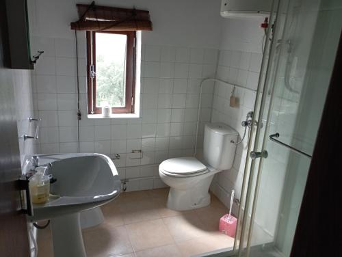 a bathroom with a toilet and a sink and a shower at Refúgio da Montanha in Sobral