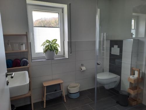 a bathroom with a sink and a toilet and a window at Ferienwohnung Im Eyachtal in Albstadt