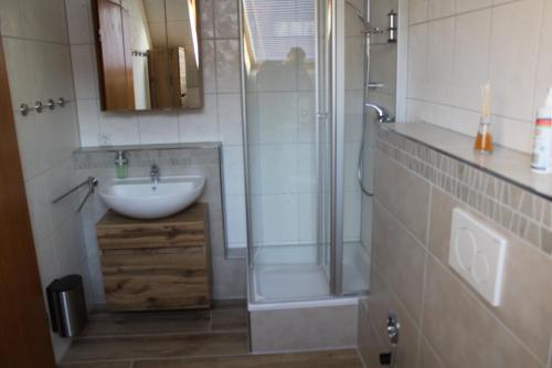 a bathroom with a sink and a shower and a sink at Ferienwohnung Am Wehr in Georgensgmünd