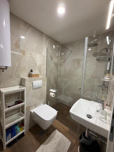 a bathroom with a shower and a toilet and a sink at Bagdala apartman Krusevac in Kruševac