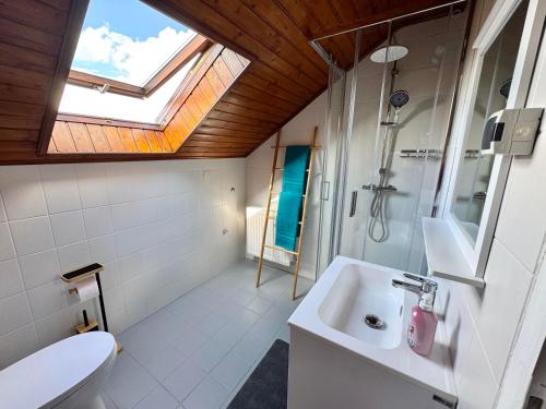 a bathroom with a toilet and a sink and a skylight at Ferienhaus "Kleine Auszeit" in Tieschen