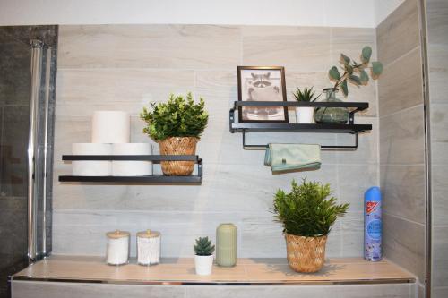 a shelf with plants and towels on a wall at Ferienwohnung Jacobi in Weißenfels