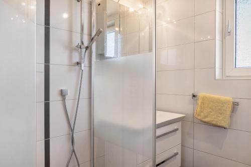 a shower with a glass door in a bathroom at Haus Lerchenweg in Bad Wildungen