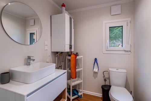 a bathroom with a sink and a mirror and a toilet at Haus Zander in Lohmen