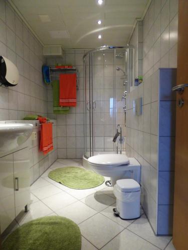 un bagno con doccia, WC e lavandino di Adrett a Hermsdorf