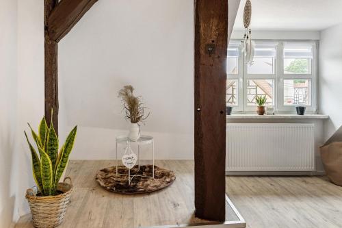 a room with a table with plants on it at Haus am Nicolaiplatz in Salzwedel