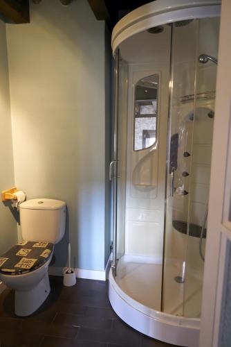 a bathroom with a shower with a toilet and a shower at Reoyo 2 in Mambrilla de Castrejón