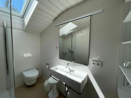 a bathroom with a sink and a toilet and a mirror at Fewo 1 am Auweg in Hirschegg