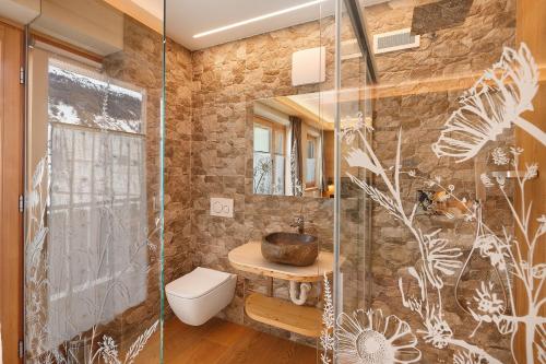a bathroom with a glass shower and a toilet at Alpi Flo Chalet in Livigno