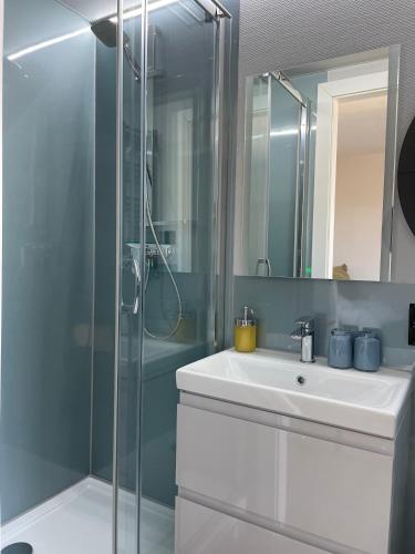 a bathroom with a glass shower and a sink at Hausboot Schwanennest in Kirchberg an der Raab
