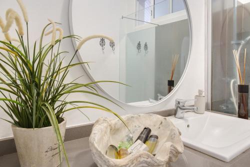 a bathroom sink with a potted plant and a mirror at A Minha Casa in Funchal
