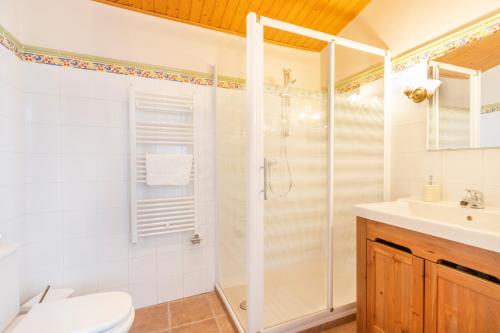 a bathroom with a shower and a toilet and a sink at Cal Comorera in Masoteras