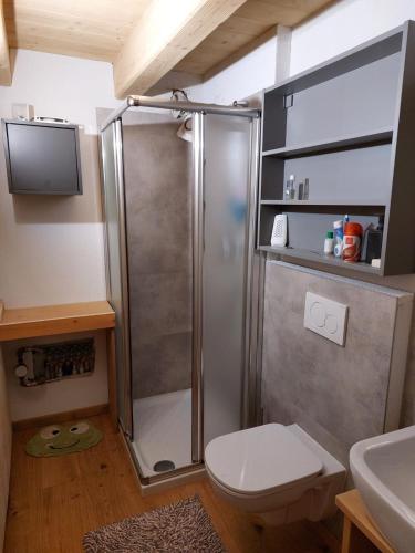 a bathroom with a shower with a toilet and a sink at Monolocale Carfon in Canale dʼAgordo