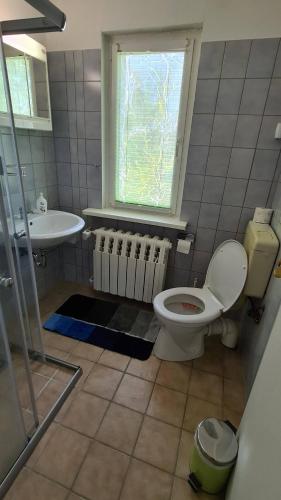 a bathroom with a toilet and a sink and a window at Haus im Grünen in Hoppegarten