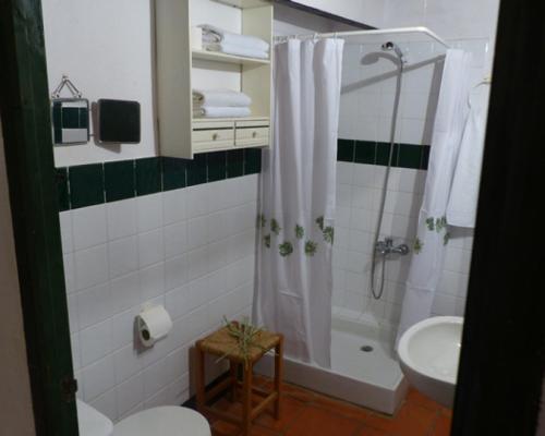 a bathroom with a shower and a toilet and a sink at Granados in Fuenteheridos