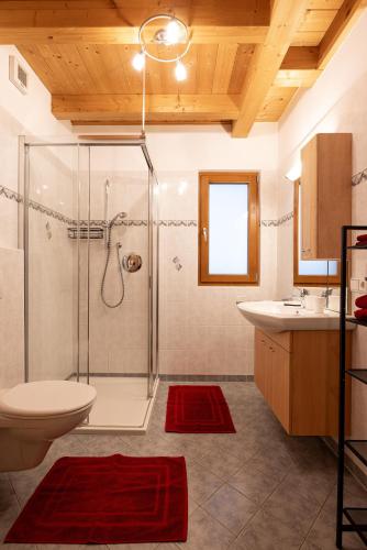 a bathroom with a shower and a toilet and a sink at Apt Bergblick Hinterproslhof in Sarntal