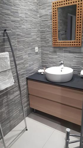 a bathroom with a sink and a mirror at Studio charmant avec jardin in Saint-Rémy-de-Provence