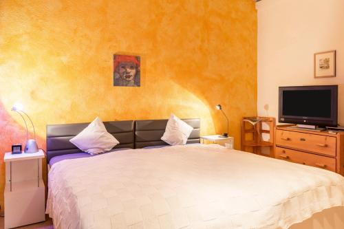 a bedroom with a bed and a flat screen tv at Ferienwohnung Faden in Konstanz