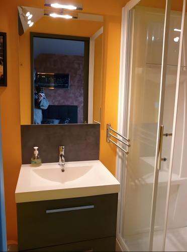 a bathroom with a sink and a mirror and a shower at Les Orchidées - chambres d'hôtes in Surtainville