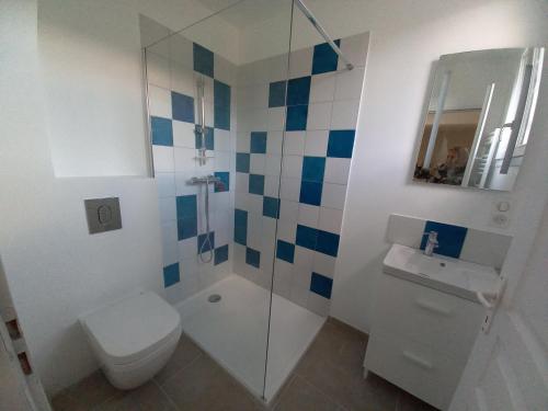 a bathroom with a shower and a toilet and a sink at Chambre Bleue - Ostau la Lutz in Saint-Germain-de-Calberte