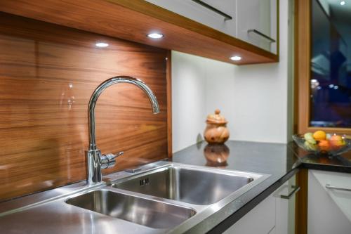 a kitchen with a stainless steel sink and wooden walls at Apt Hetti - Haus Kostner in Santa Cristina Gherdëina