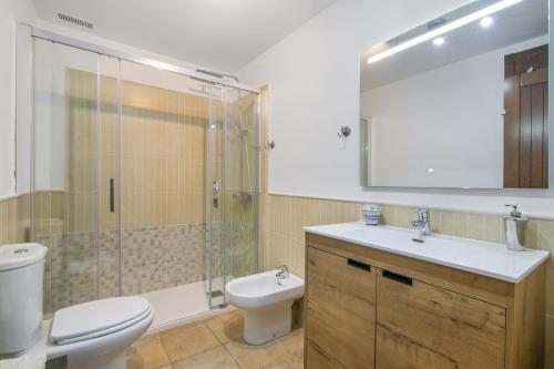 a bathroom with a toilet and a sink and a shower at Los Albatros in Ayamonte