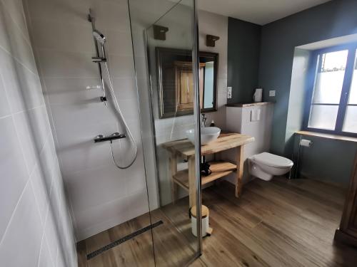 a bathroom with a shower and a sink and a toilet at Gîte La Forge Faverolles in Arcomie