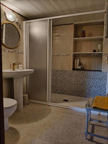 a bathroom with a shower and a toilet and a sink at Casa Corral Bouzamayor in Valdoviño