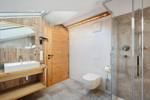 a bathroom with a shower and a toilet and a sink at New - Steinhof Val di Mezzo in Val di Mezzo