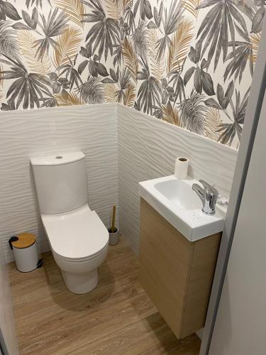 a bathroom with a toilet and a sink at Gite Les Pivoines in Saint-Robert