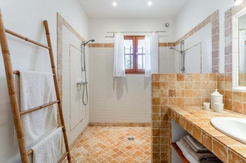 a bathroom with a shower and a sink at La Grange Bessac in Violès