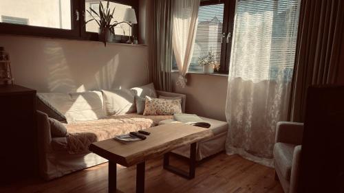 a living room with a couch and a coffee table at Zone 3 in Erfurt