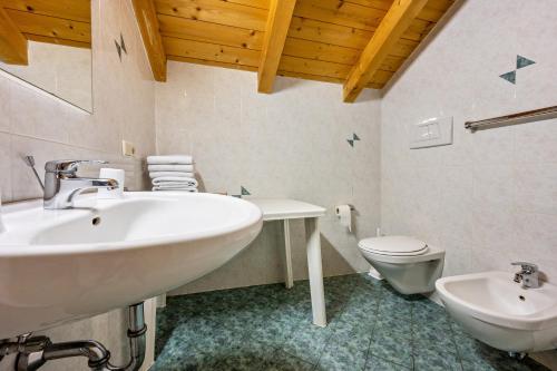 a bathroom with a sink and a toilet at Lindenhof Apt 1 in Vandoies