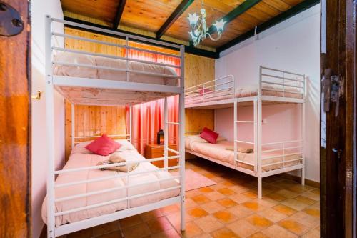 a bedroom with two bunk beds in a room at El Paraíso Del Olivar in Bollullos de la Mitación